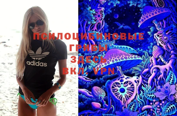 ECSTASY Алексин