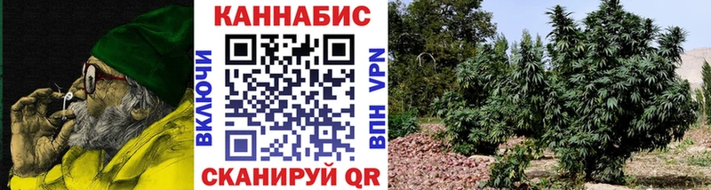 Марихуана план Спасск
